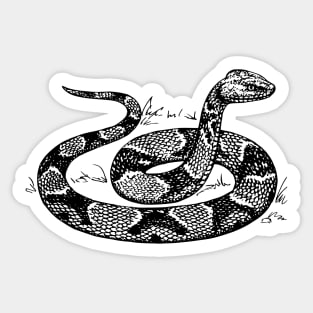 Snake Vintage Image Sticker